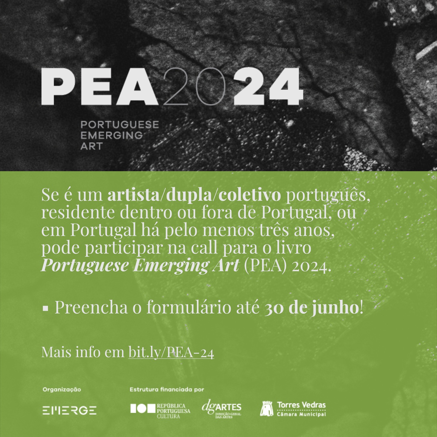 PORTUGUESE EMERGING ART (PEA) 2024