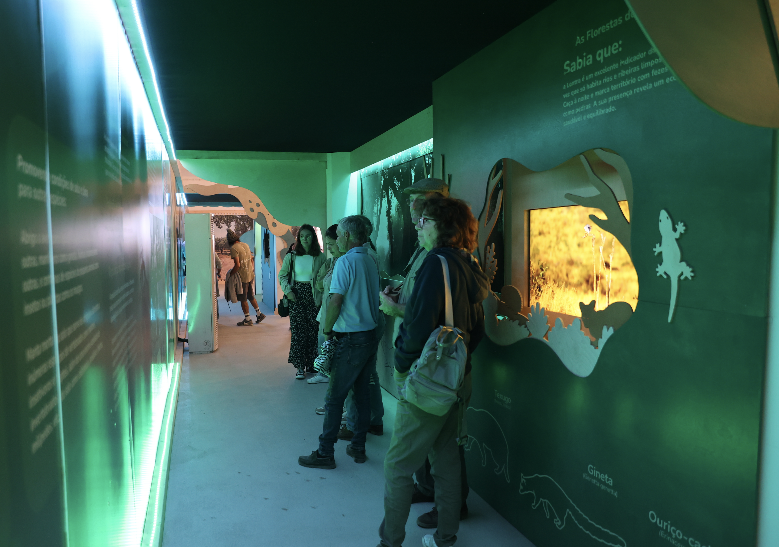Exposição “O Montado” – FEIRA DA LUZ / EXPOMOR ’24