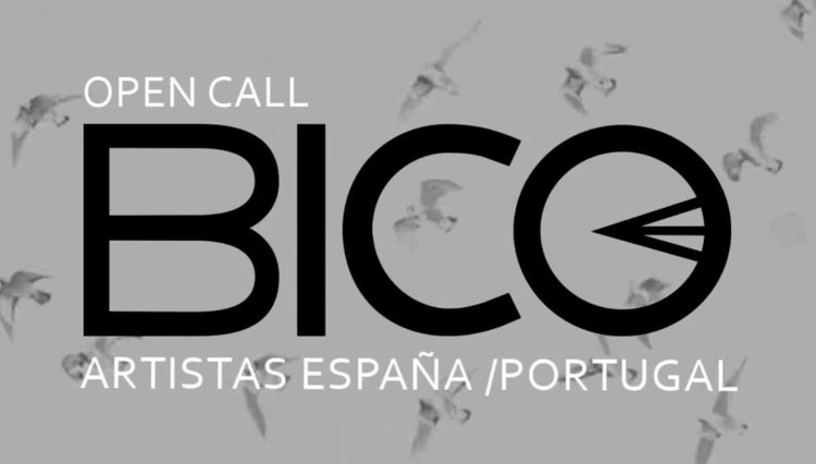 OPEN CALL | BICO: INTERCÂMBIO DE ARTISTAS PORTUGAL ↔ ESPANHA