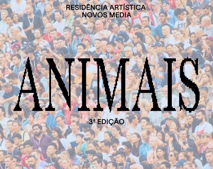 ANIMAIS | RESIDÊNCIA ARTÍSTICA EM CASA BRANCA > CANDIDATURAS ATÉ 27 DE JULHO