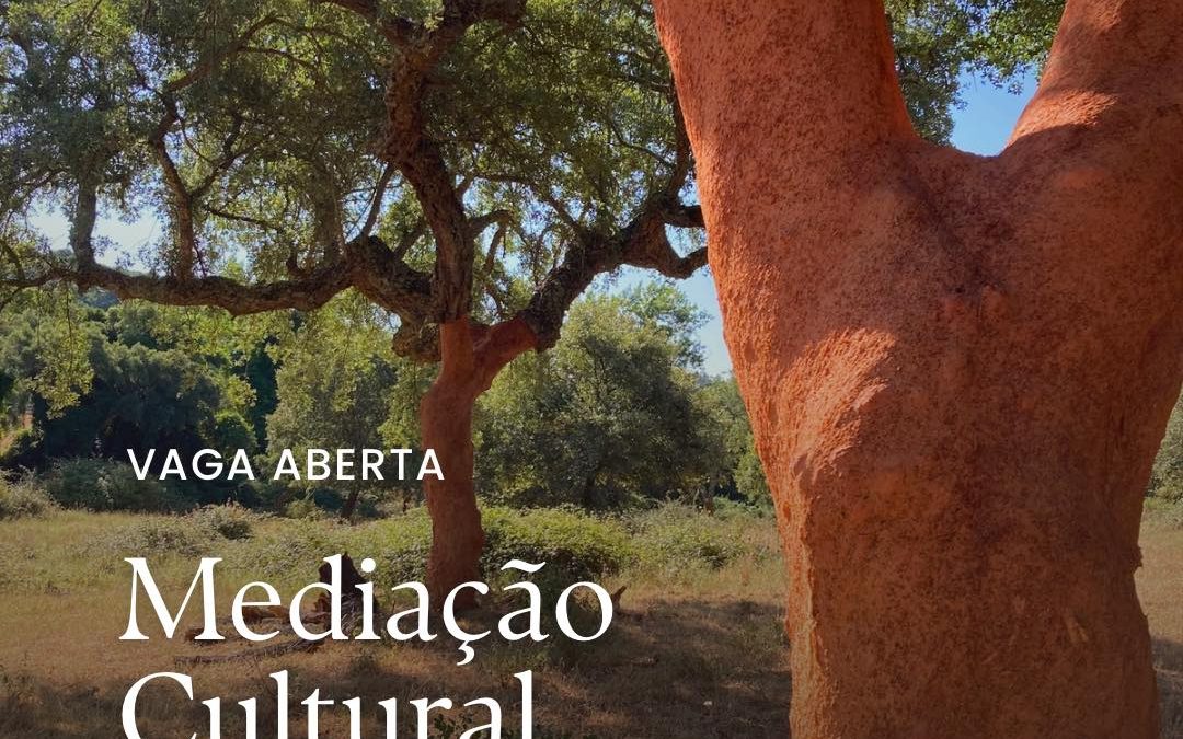 OFERTA DE EMPREGO | MEDIAÇÃO CULTURAL > CASA DO MONTADO (ÉVORA)