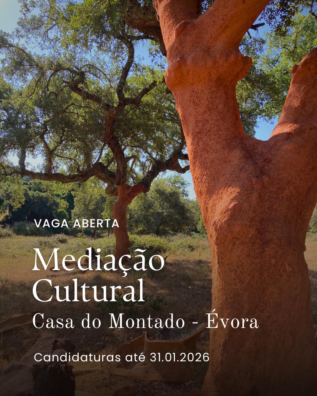 OFERTA DE EMPREGO | MEDIAÇÃO CULTURAL > CASA DO MONTADO (ÉVORA)