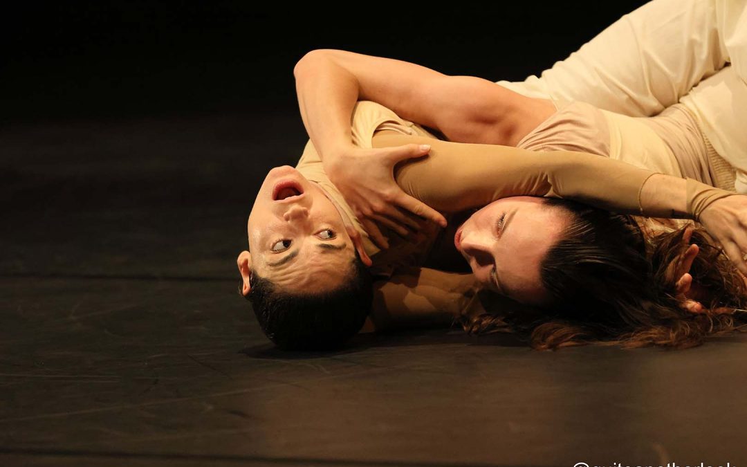OPEN CALL | 34.ª QUINZENA DE DANÇA DE ALMADA – INTERNATIONAL DANCE FESTIVAL