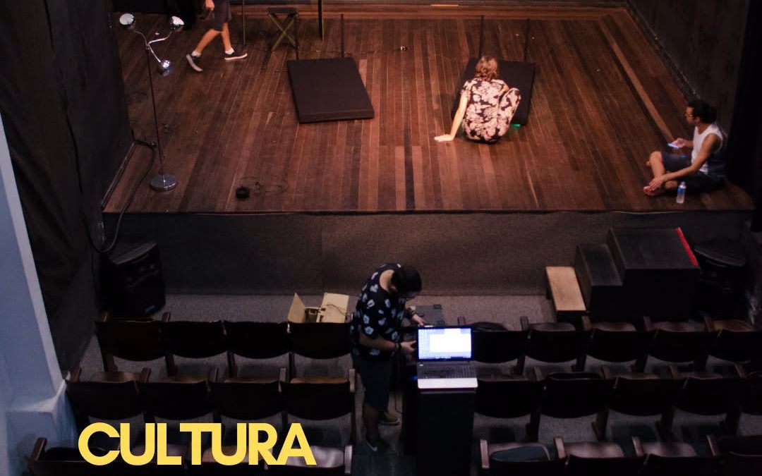 REVISÃO DO ESTATUTO DOS PROFISSIONAIS DA ÁREA DA CULTURA (EPAC) > SUBMISSÃO DE CONTRIBUTOS ATÉ 31 DE JULHO
