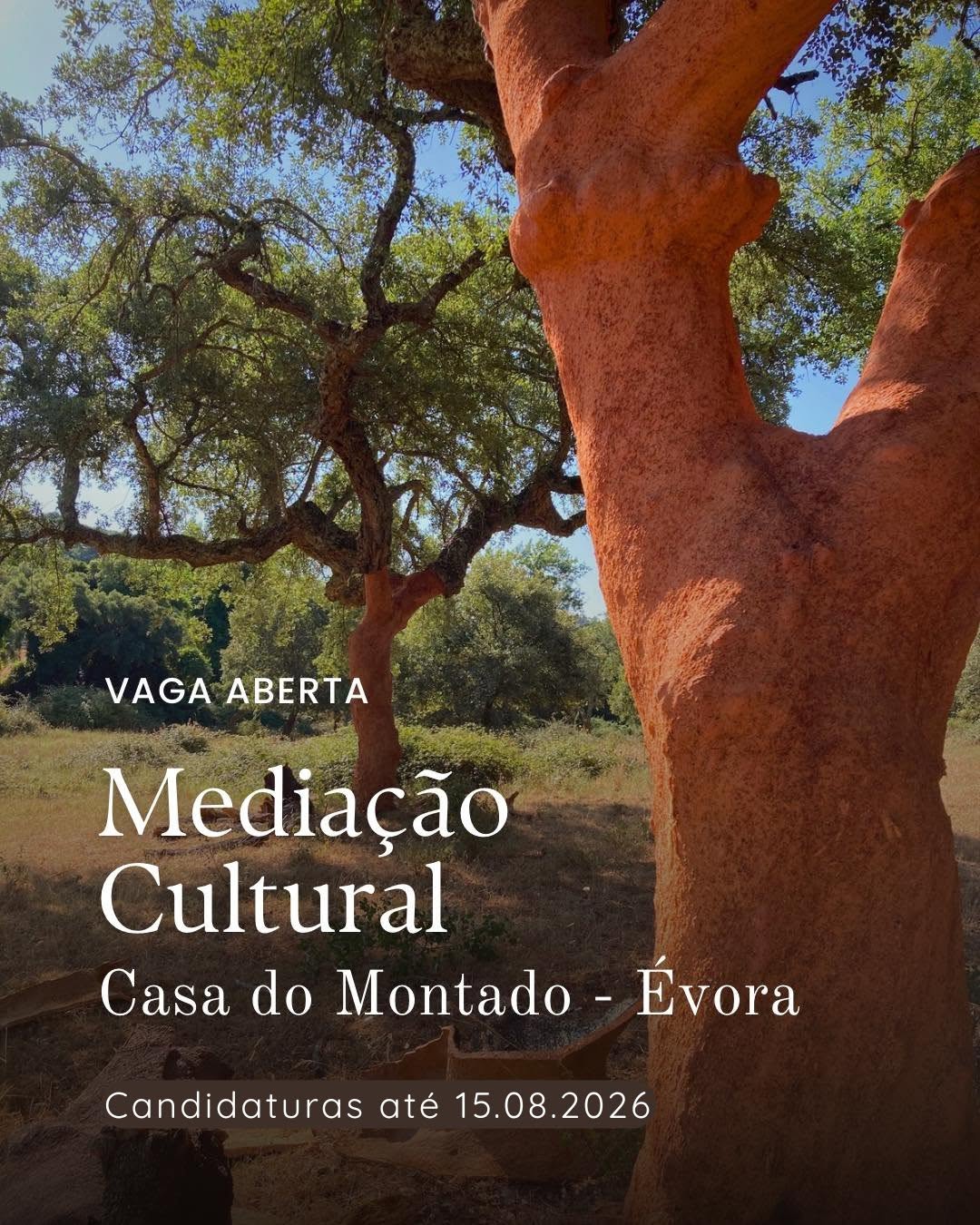 VAGA ABERTA PARA MEDIADOR | CASA DO MONTADO > CANDIDATURAS ATÉ 15 DE AGOSTO
