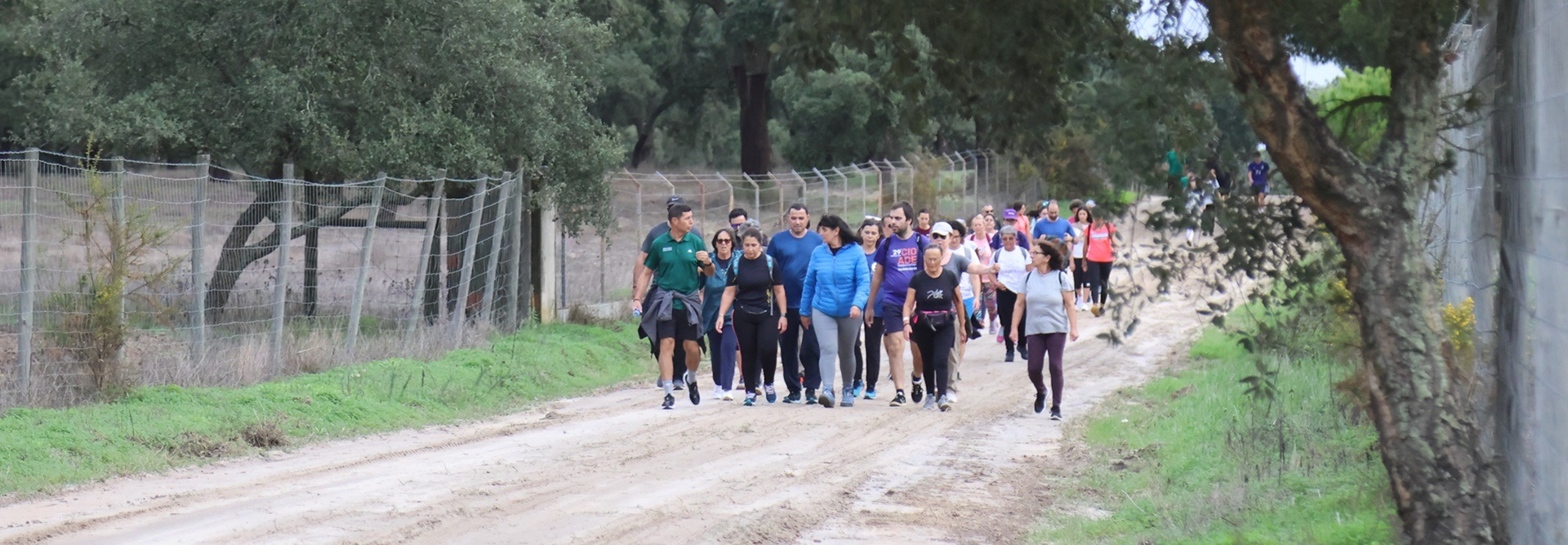 Caminhada Rota da Bifana